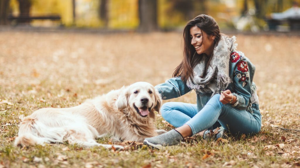 Herbst- und Winterpflege Hund, Kälte Hund, Hund im Winter – So schützen Sie Ihren Hund im Herbst und Winter.